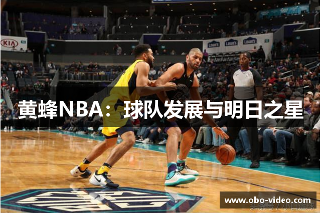 黄蜂NBA：球队发展与明日之星